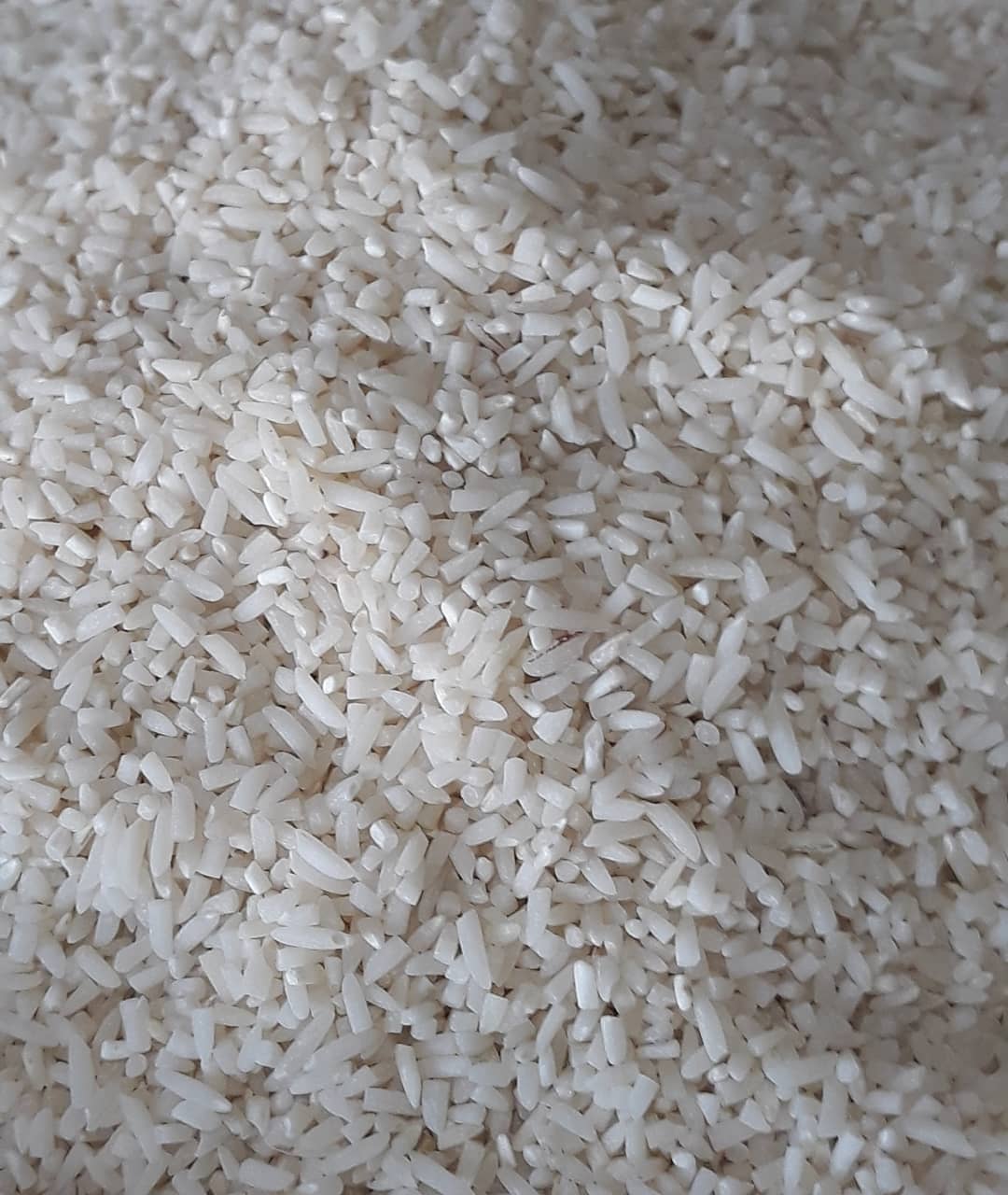 برنج لاشه هاشمی کیلویی